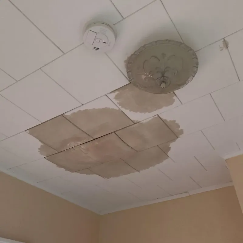 Ceiling Water Damage Repair in Lake Junaluska, NC