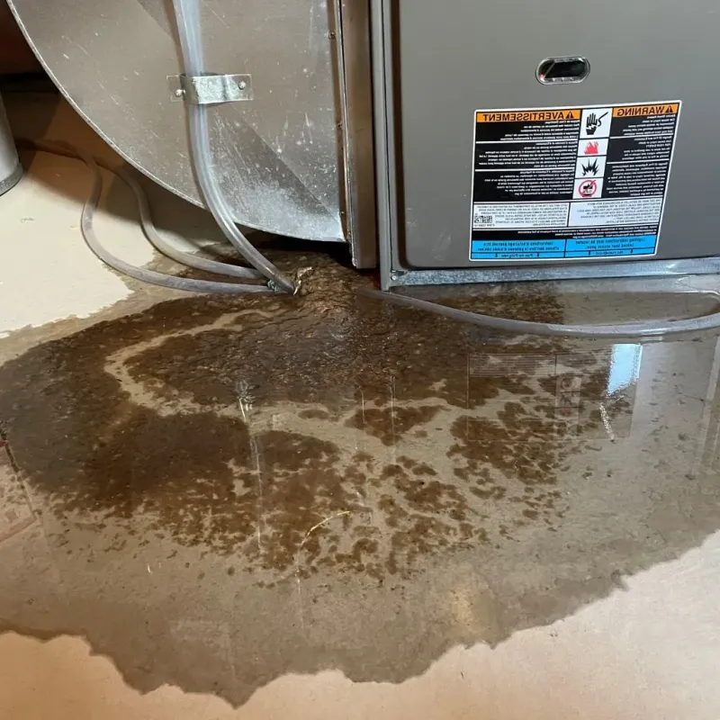 Pipe Burst and Leak Restoration in Lake Junaluska, NC
